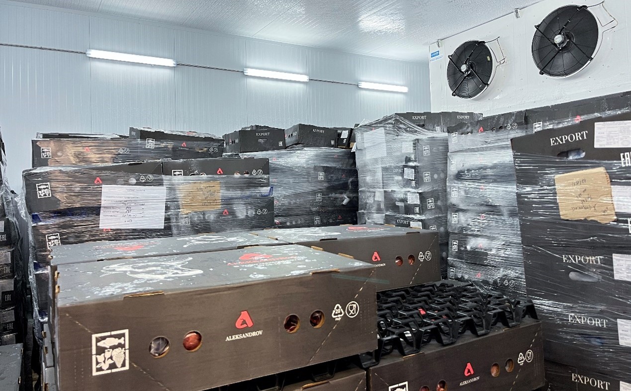 恒溫冷庫中，包裝好的牛肉等待發(fā)往中國。人民網(wǎng)記者 朱虹攝