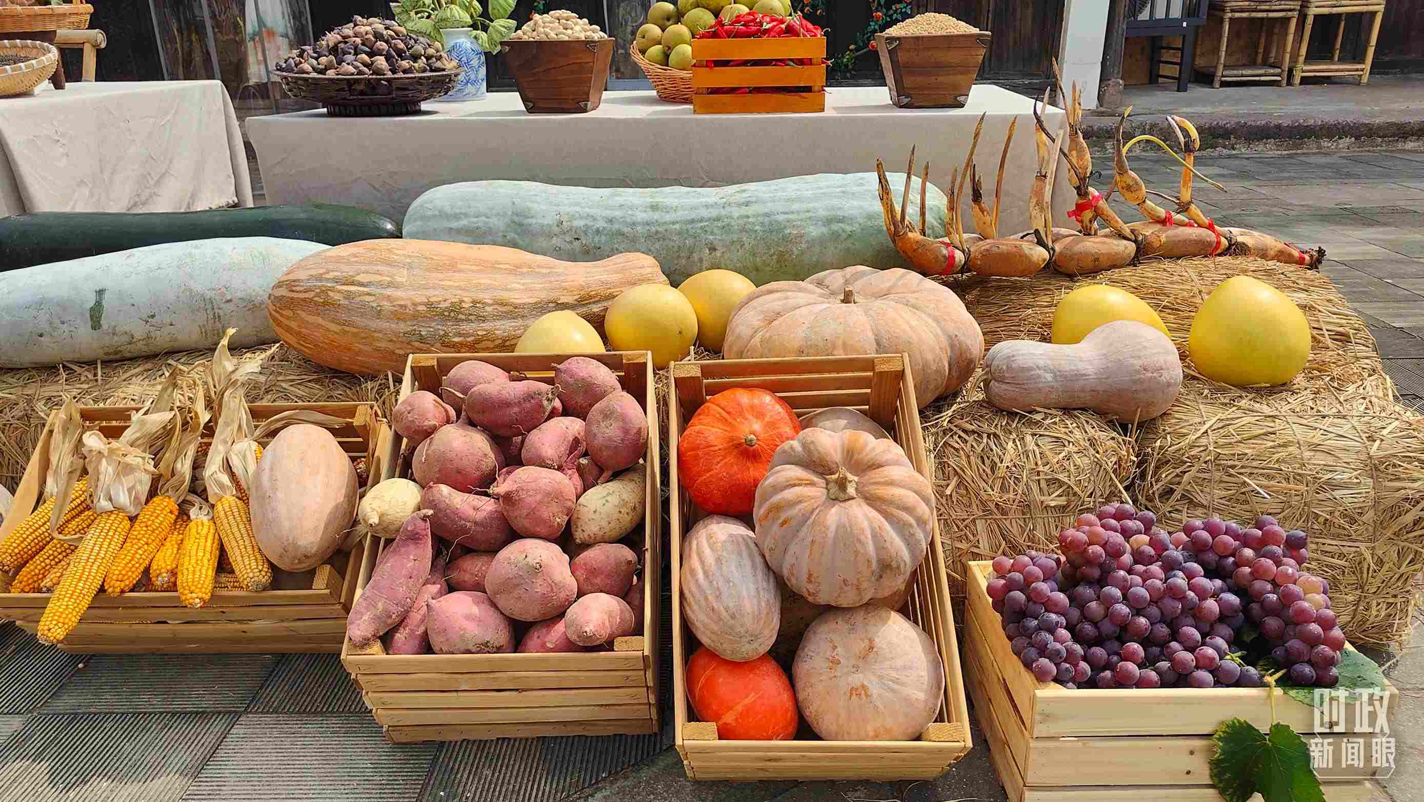 △村廣場(chǎng)“共富市集”，擺放著種類豐富的特色農(nóng)產(chǎn)品。（總臺(tái)央視記者楊立峰拍攝）