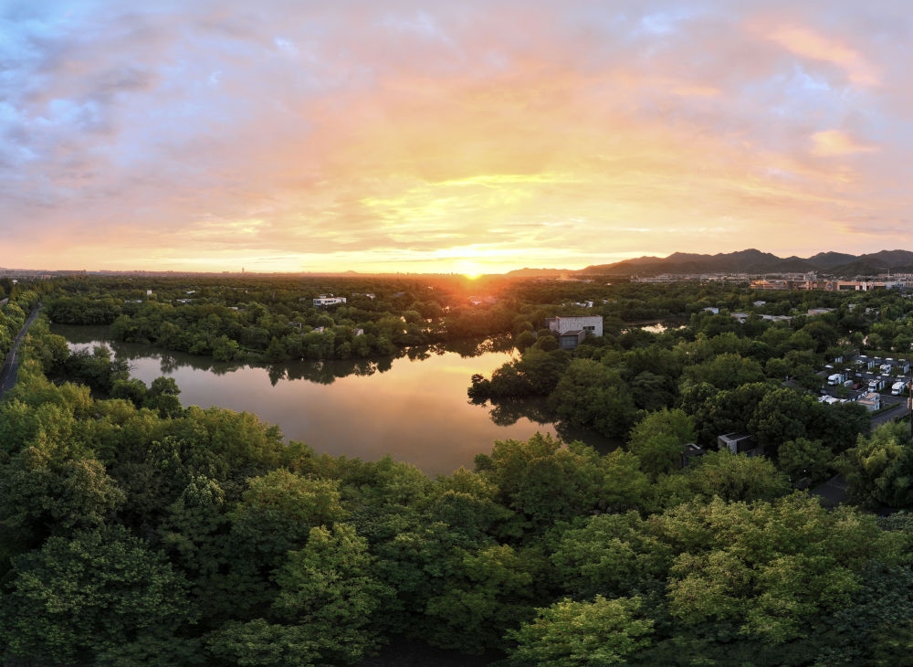 杭州西溪濕地日出景觀。