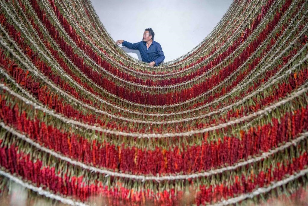 在貴州省畢節(jié)市大方縣理化鄉(xiāng)金雞村，村民查看辣椒烘干情況。新華社發(fā) 羅大富攝