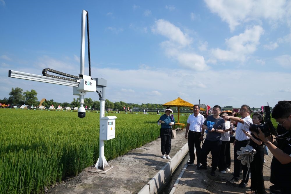 在北大荒集團(tuán)閆家崗農(nóng)場有限公司農(nóng)業(yè)現(xiàn)代化示范區(qū)，工作人員在介紹利用數(shù)字技術(shù)的葉齡診斷儀（2023年8月10日攝）。新華社記者 王建威 攝