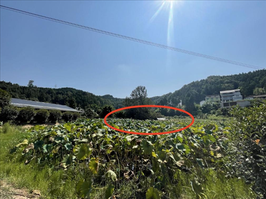 曾經(jīng)的圣水園所在地。 人民網(wǎng)記者 楊喬攝