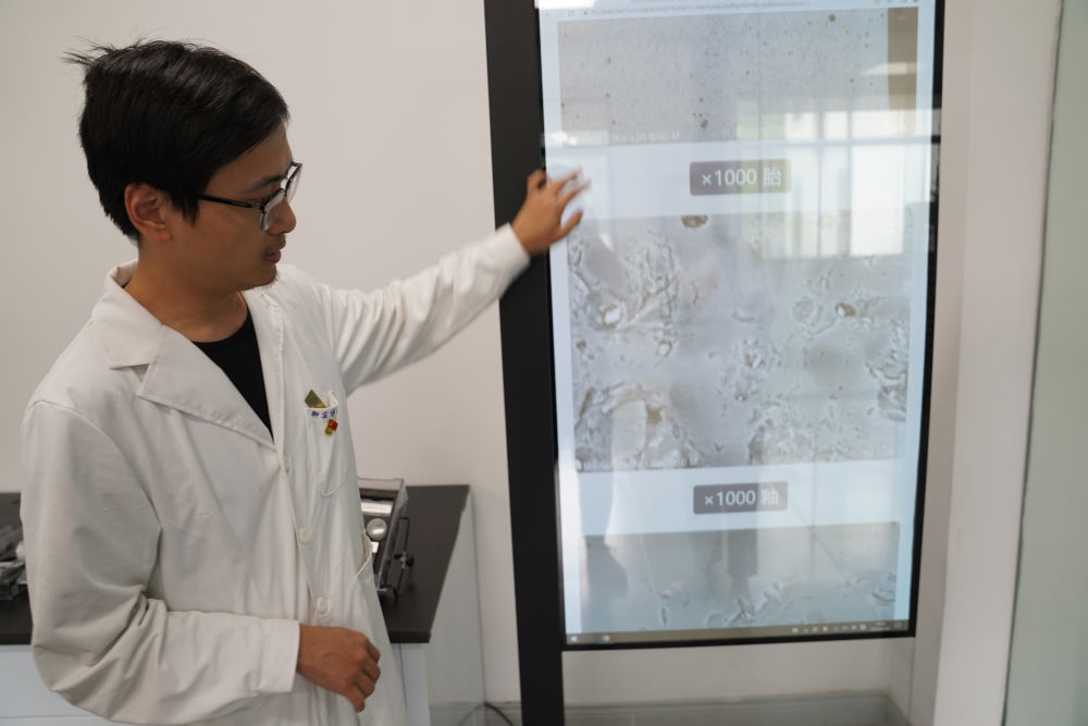 ↑ 工作人員展示瓷片標(biāo)本的配方研究數(shù)據(jù)（2023年5月16日攝）。