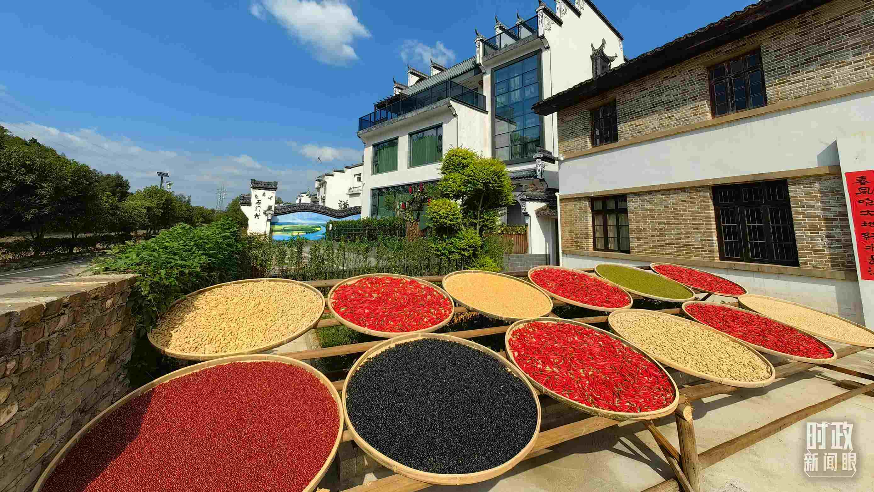 △曬秋農(nóng)俗成為婺源鄉(xiāng)村的一道美麗風(fēng)景。（總臺(tái)央視記者段德文拍攝）