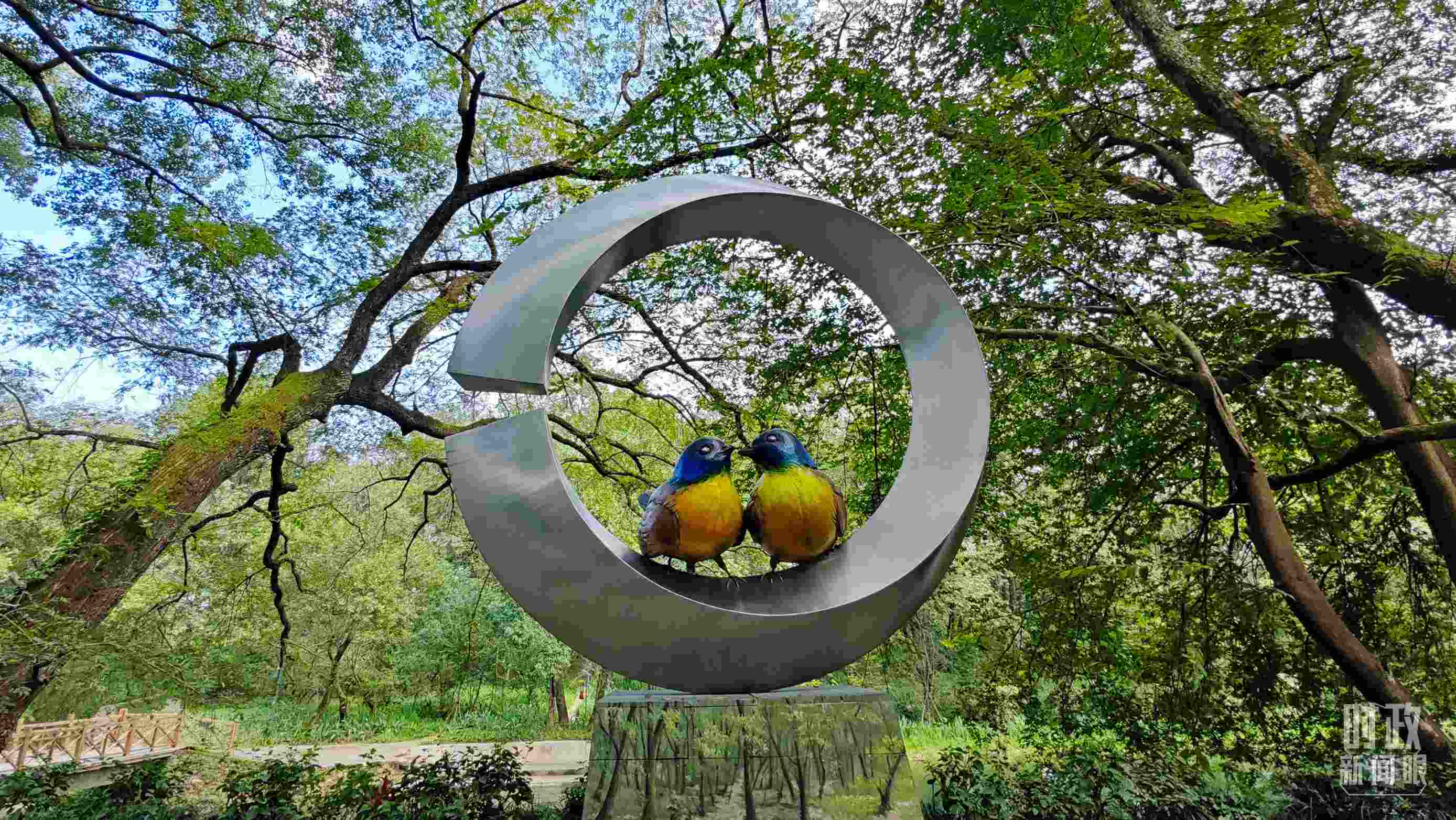 △石門村里的藍(lán)冠噪鹛雕像。（總臺(tái)央視記者許永松拍攝）