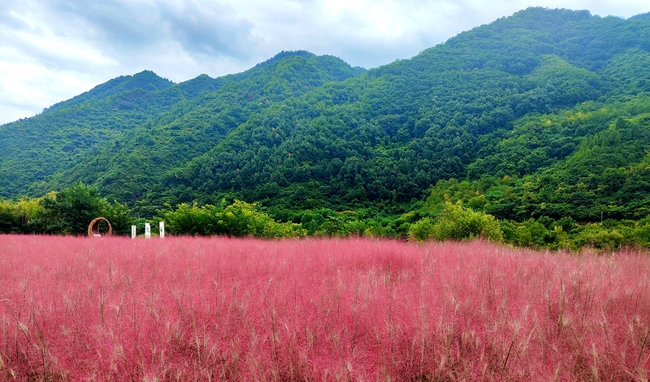 寶成線鳳縣境內(nèi)的路邊。