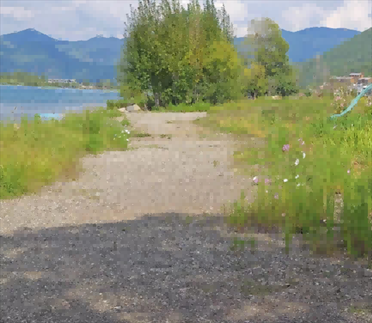 王軍所說被填區(qū)域。 人民網(wǎng)記者 黃鈺攝