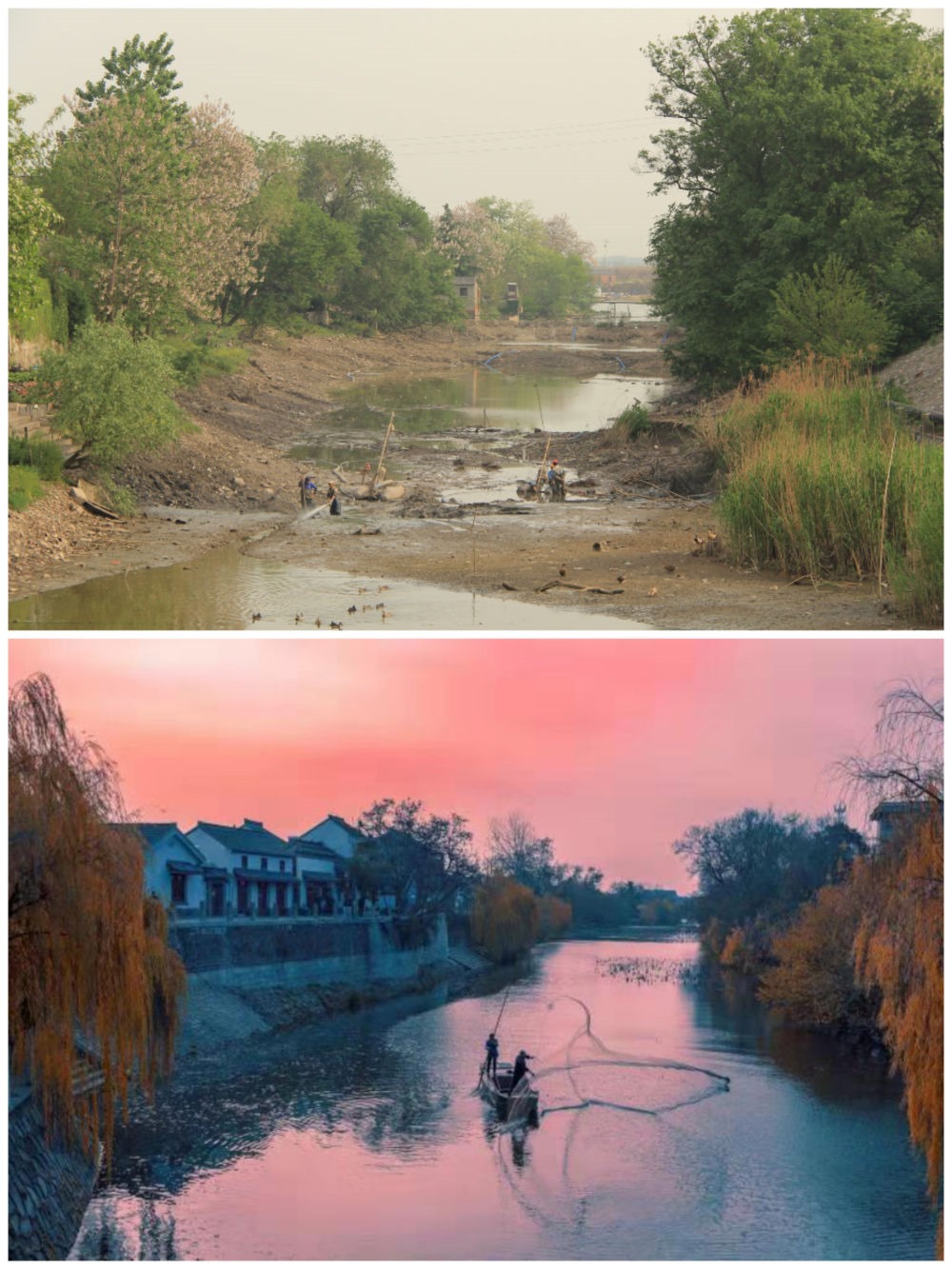 江蘇省揚(yáng)州市江都區(qū)明清運(yùn)河故道整治前后。（上圖：2012年；下圖：2020年）（孫友定 攝）