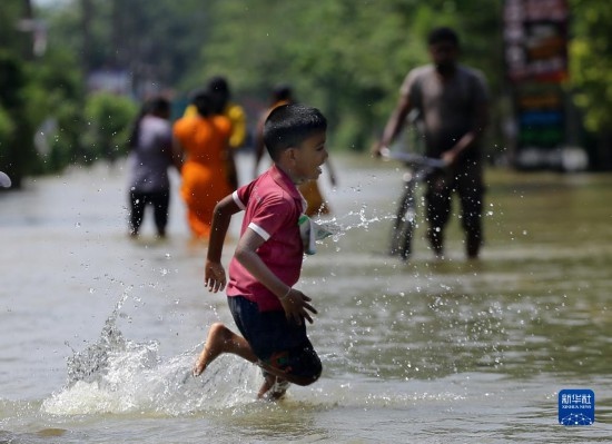 11月24日，一名男孩在斯里蘭卡加姆珀哈涉水出行。新華社發(fā)（阿吉特·佩雷拉攝）