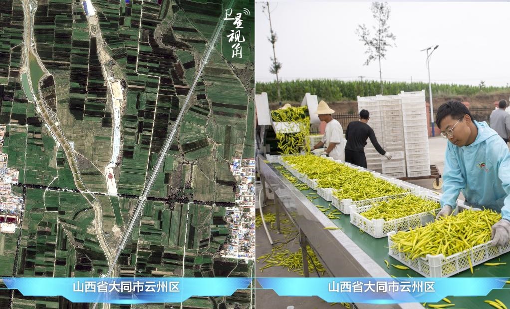 當(dāng)前，大同市開(kāi)發(fā)黃花菜品、食品、飲品、功能食品、化妝品、文創(chuàng)產(chǎn)品六大系列130余種，全產(chǎn)業(yè)鏈產(chǎn)值超40億元。