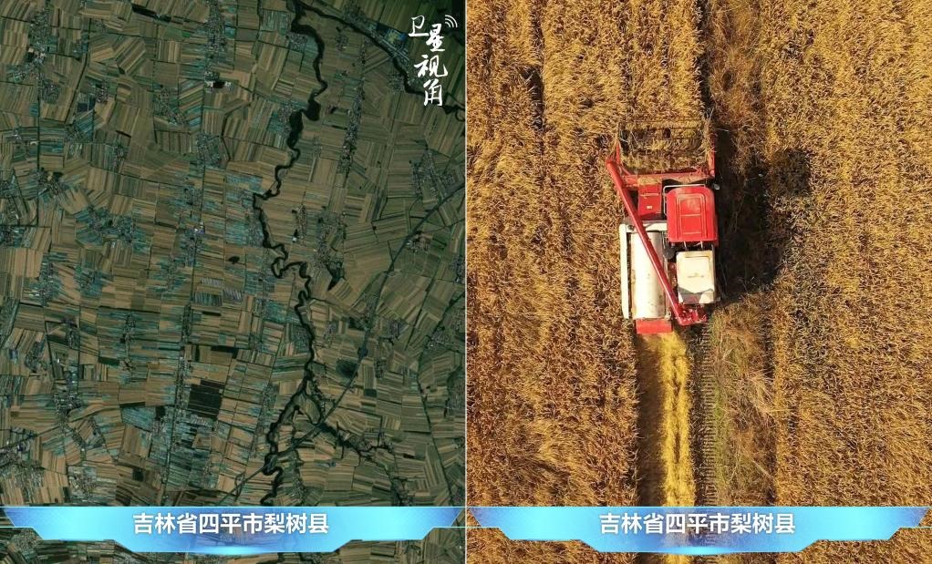 隨著現(xiàn)代化農(nóng)機(jī)普及應(yīng)用，保護(hù)性耕作“梨樹(shù)模式”得以大面積推廣，不僅使黑土地保護(hù)與利用持續(xù)深入，更為糧食作物高產(chǎn)穩(wěn)產(chǎn)助力。