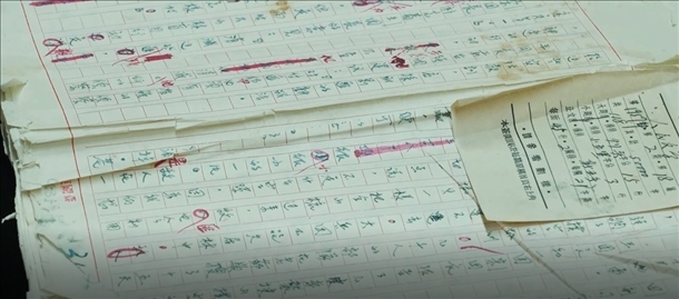 曲波《林海雪原》手稿。主辦方供圖