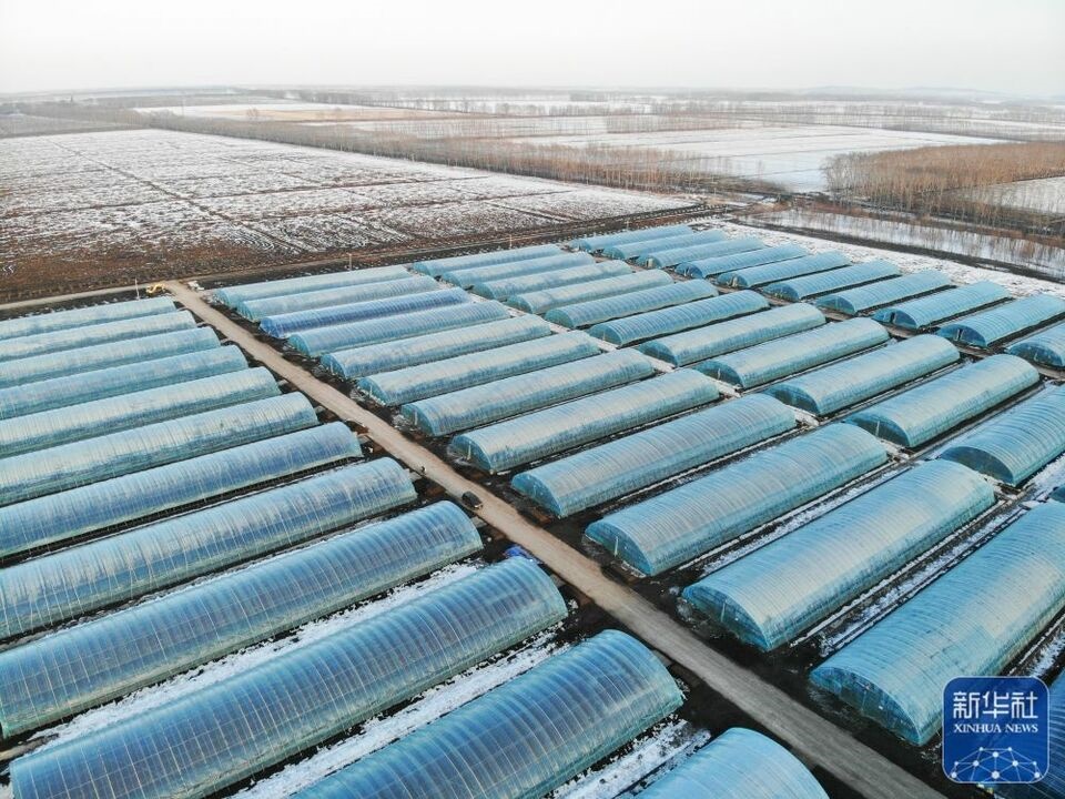 新華全媒+|“大糧倉”黑龍江春耕備耕火熱進(jìn)行