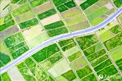 無人機視角下的西藏山南市瓊結農田。人民網記者 次仁羅布攝