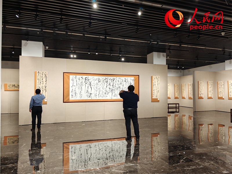 觀眾正在參觀展覽。人民網(wǎng)記者 韋衍行攝