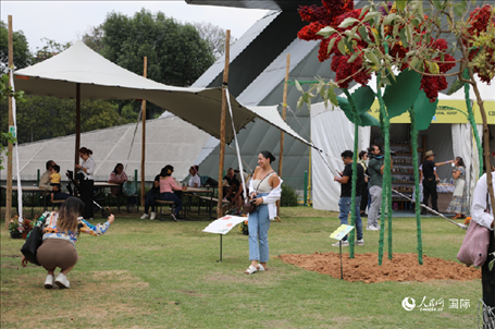 坎波·馬特活動現(xiàn)場。埃內(nèi)斯托·多明戈斯攝