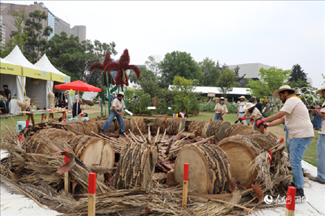 坎波·馬特活動現(xiàn)場。埃內(nèi)斯托·多明戈斯攝