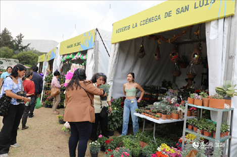 坎波·馬特活動現(xiàn)場。埃內(nèi)斯托·多明戈斯攝