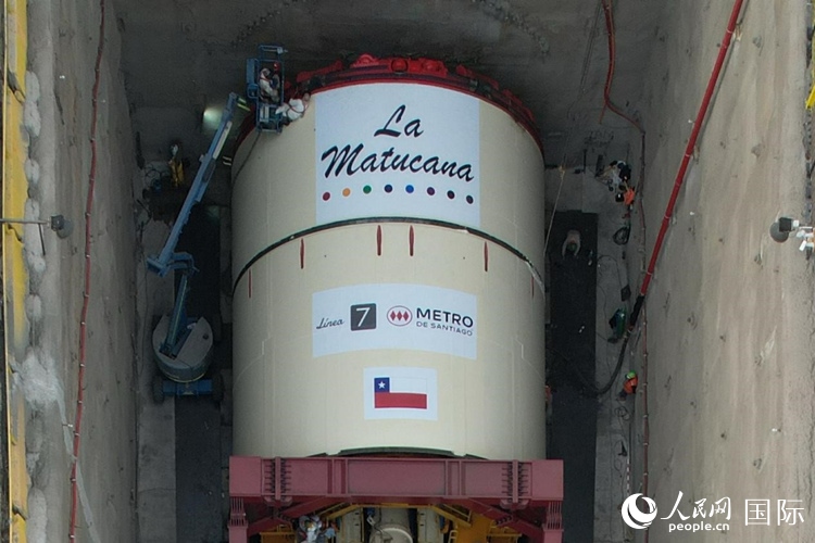 質(zhì)構(gòu)機全景。陳露明攝