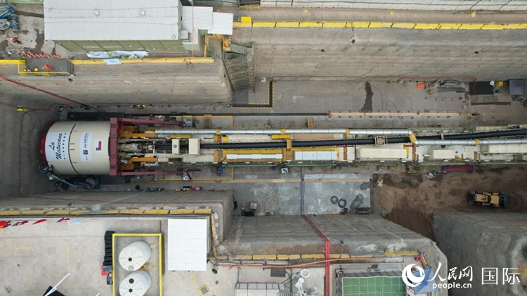 質(zhì)構(gòu)機全景。陳露明攝