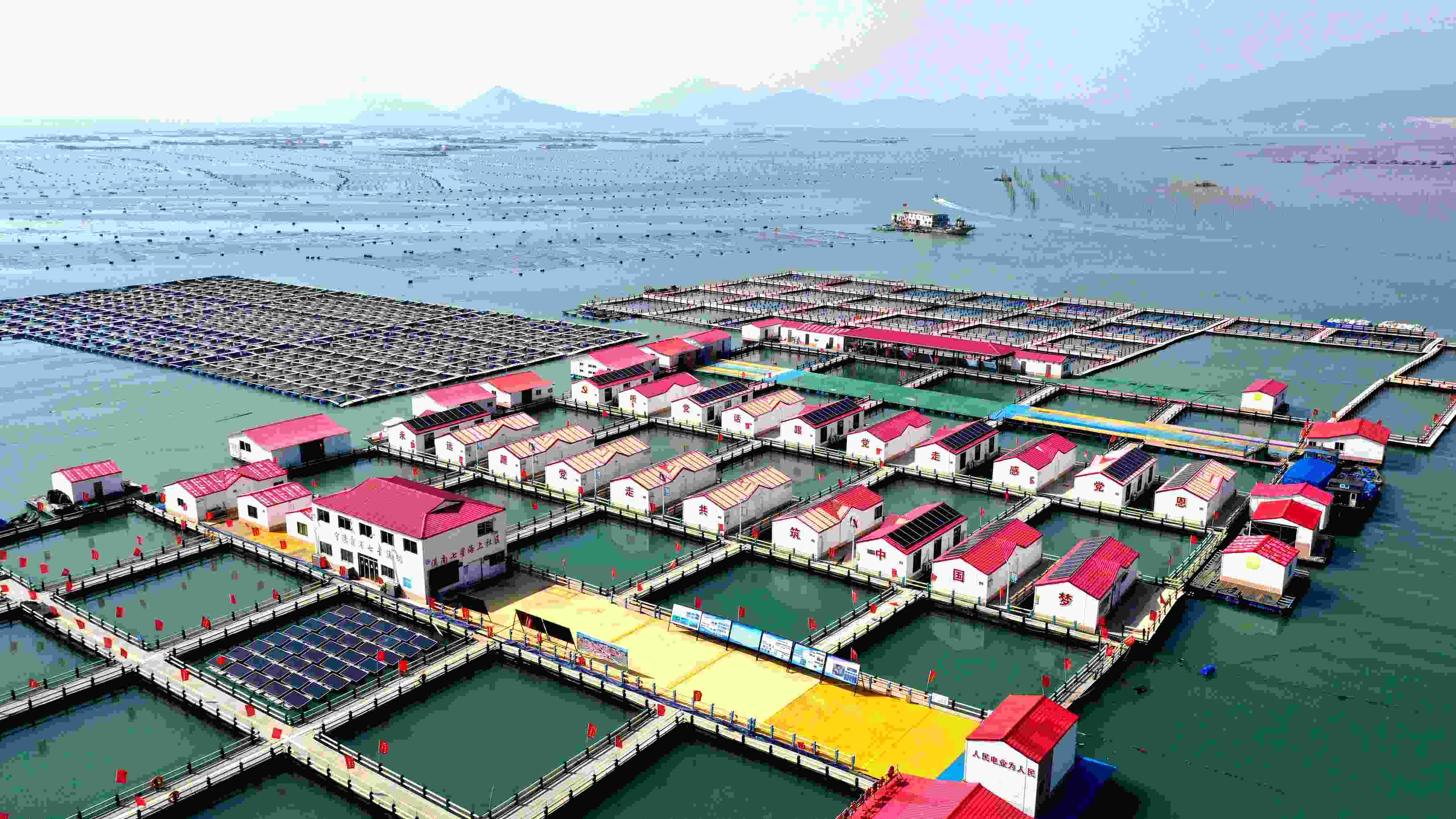 2024年3月20日，福建省寧德市，霞浦縣溪南鎮(zhèn)七星村漁排養(yǎng)殖示范區(qū)，漁民駕駛養(yǎng)殖船進(jìn)行海參養(yǎng)殖作業(yè)。