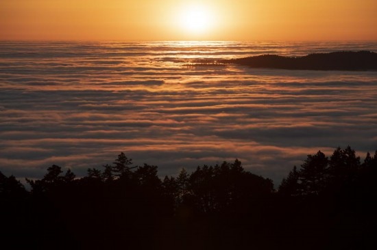 這是5月14日在美國加利福尼亞州馬林縣拍攝的云海。新華社發(fā)（李建國攝）