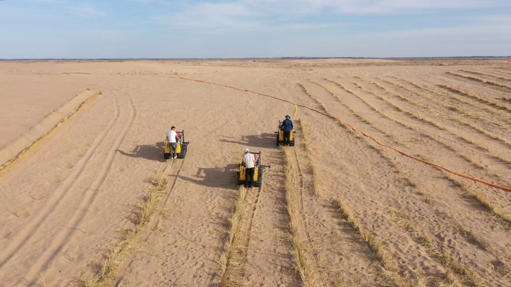 內(nèi)蒙古巴彥淖爾市烏拉特后旗西補(bǔ)隆林業(yè)管護(hù)中心職工駕駛機(jī)械鋪設(shè)壓沙障。新華社記者 李云平 攝