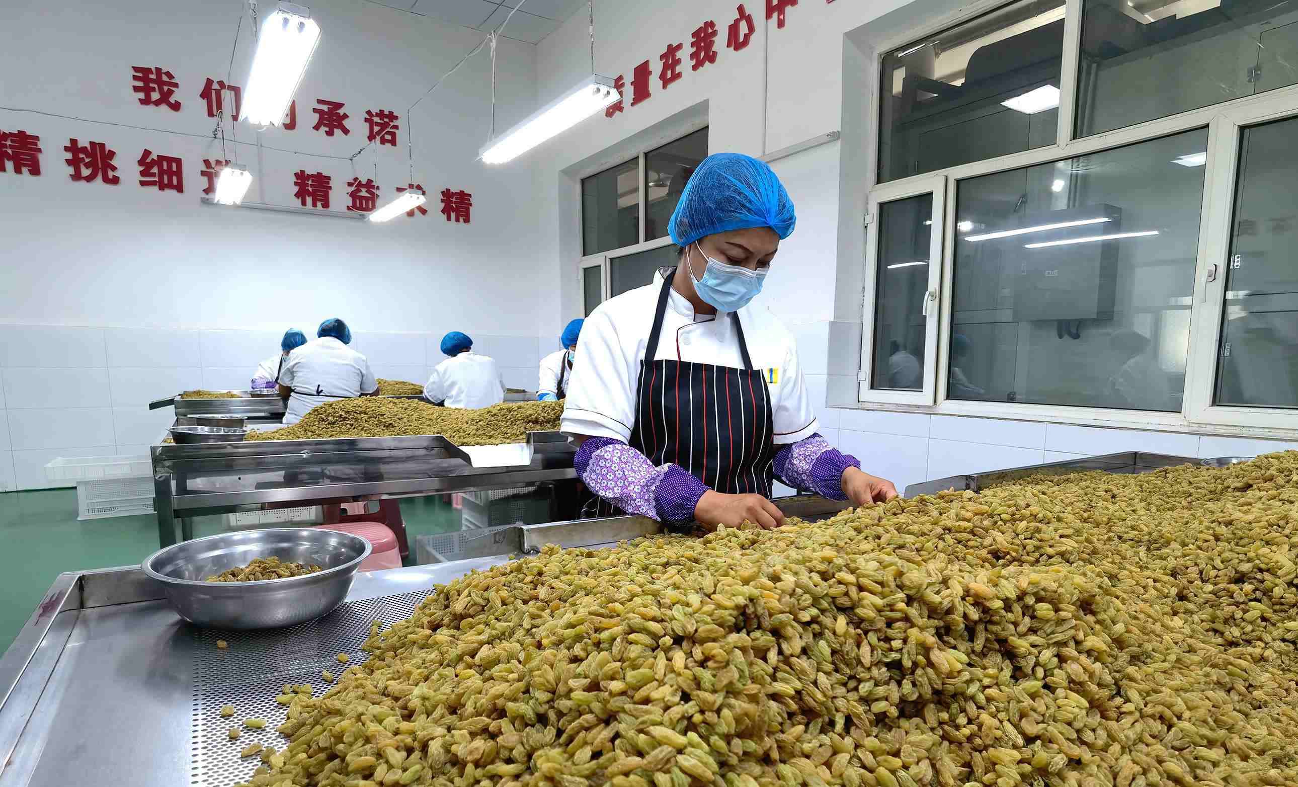 新疆吐魯番市高昌區(qū)亞爾鎮(zhèn)新城西門村，村民們在分揀葡萄干。