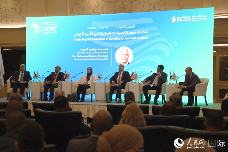 “非洲之角沖突及其對地區(qū)和埃及安全的影響”的研討會(huì)現(xiàn)場。沈小曉攝