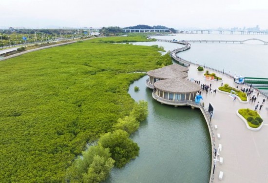 2024年1月23日拍攝的廈門市翔安區(qū)下潭尾紅樹林公園（無人機(jī)照片）。新華社記者 林善傳 攝