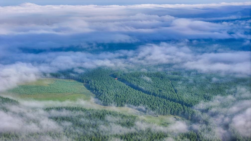 2024年7月26日拍攝的塞罕壩國家級自然保護區(qū)景色。新華社發(fā)（劉滿倉 攝）