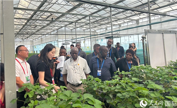 研討班成員在大棚中了解植物種植技術(shù)。人民網(wǎng) 曹欣悅攝