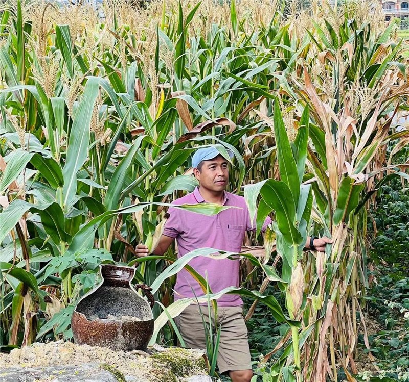 不是攀登石林高臺，就是鉆入玉米莊稼地，吉爾吉斯斯坦《自由之山報》總編輯納拉雷·阿桑巴耶夫“身手不凡”，與生長旺盛的玉米構成了花茂村的鄉(xiāng)間野趣。（張亞欣攝）