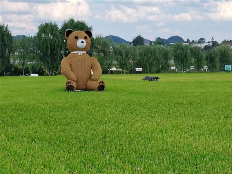 稻穗搖曳，垂柳依依，山嵐多姿，好一幅歲月靜好山鄉(xiāng)恬靜圖。這憨厚俏皮的熊玩偶造型，像是亂入其中，形成現(xiàn)代與傳統(tǒng)、好動與寧靜的反差感，讓人過目不忘，也讓人莞爾一笑。（哈薩克斯坦鳳凰24新聞社總編輯兼首席執(zhí)行官克馬爾·馬山羅攝）