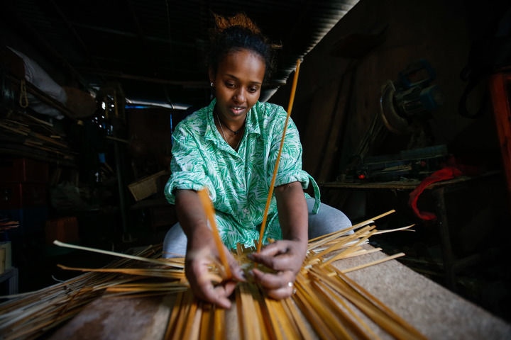 2024年8月10日，菲基爾特·加布雷在埃塞俄比亞首都亞的斯亞貝巴名為“綠色金子”的竹藤工作室里加工竹制產(chǎn)品。新華社發(fā)（邁克爾·特韋爾德 攝）
