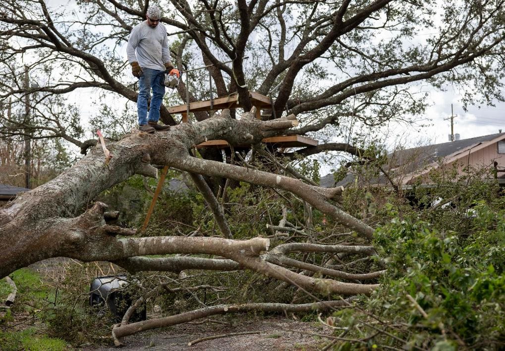 2021年8月30日，在美國路易斯安那州霍馬，一名男子站在被颶風(fēng)吹倒的大樹上。新華社發(fā)（尼克·瓦格納 攝）