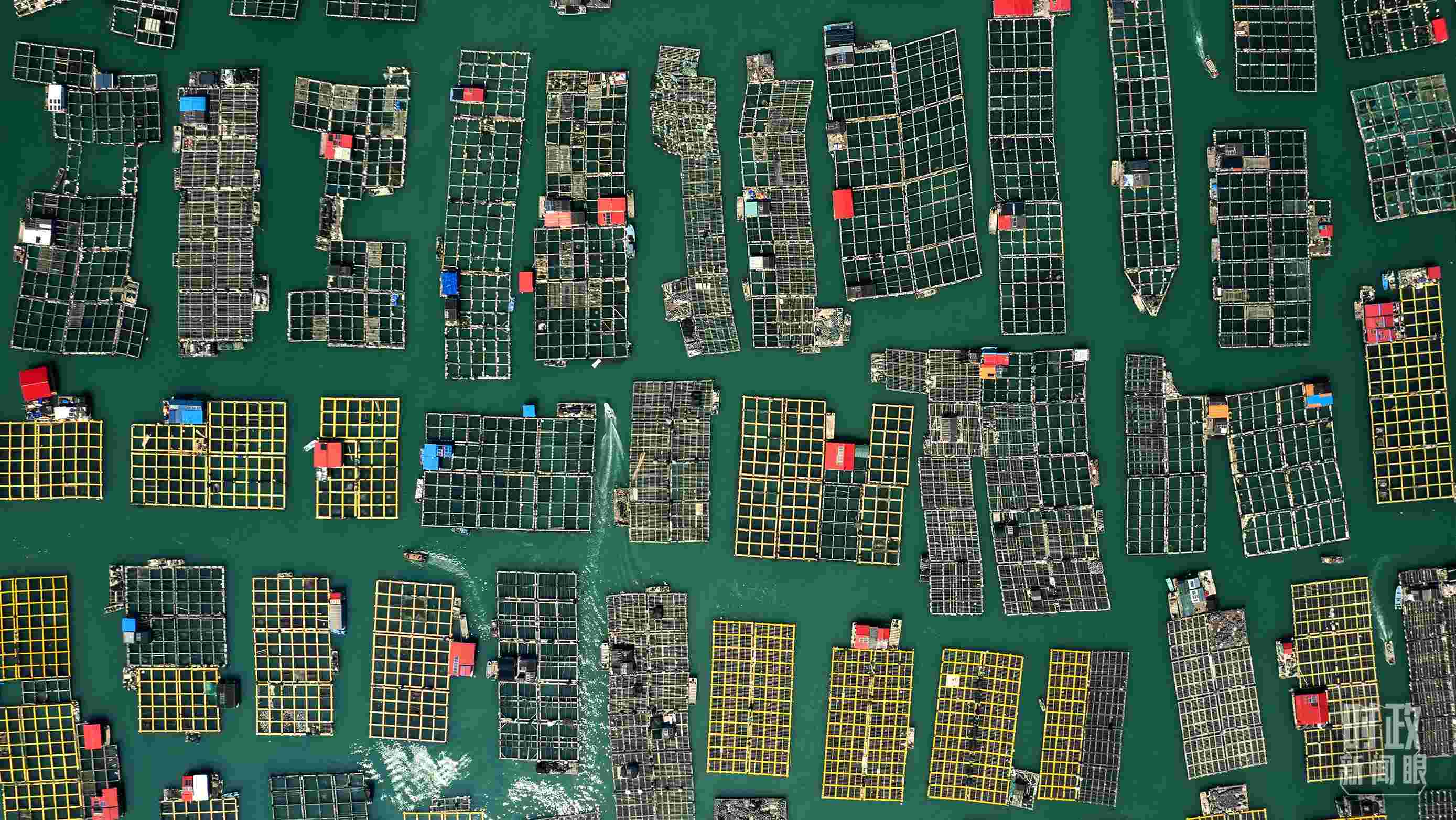 △澳角村。（總臺(tái)記者李晉拍攝）