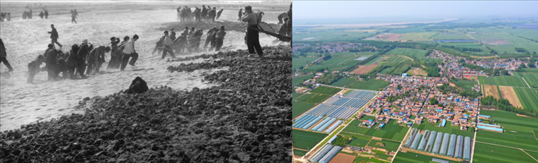 拼版照片：左圖為蘭考群眾在拉淤土壓沙（新華社記者 鄧歷耕 攝）；右圖為2024年4月25日拍攝的蘭考縣張莊村（無(wú)人機(jī)照片，新華社記者 郝源 攝）。