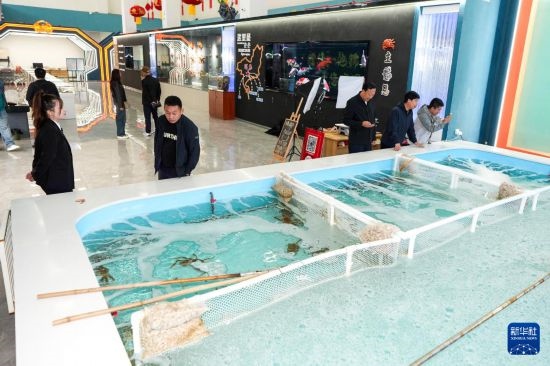 9月20日，游客在吉林省琿春市的帝王蟹保稅店內(nèi)選購帝王蟹。新華社記者 許暢 攝