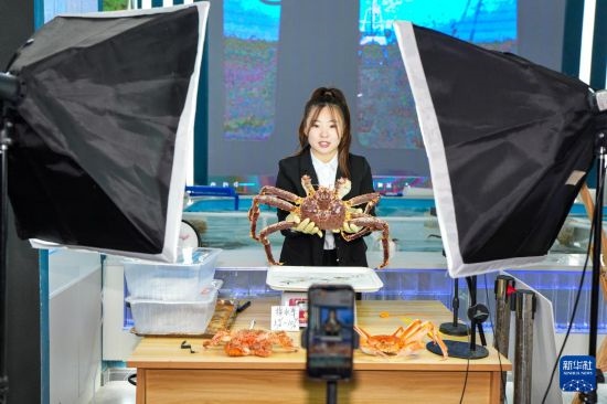 9月20日，在吉林省琿春市的帝王蟹保稅店內(nèi)，工作人員進行網(wǎng)絡直播售賣帝王蟹。新華社記者 許暢 攝