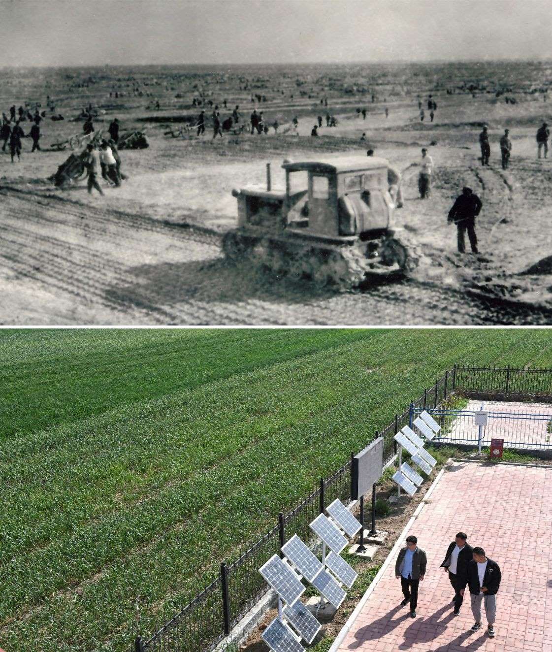 上圖為二十世紀六十年代蘭考改造鹽堿地的情景（資料照片）；下圖為2024年4月18日拍攝的蘭考縣紅廟鎮(zhèn)高標準農(nóng)田示范區(qū)。（新華社記者 朱祥 攝）