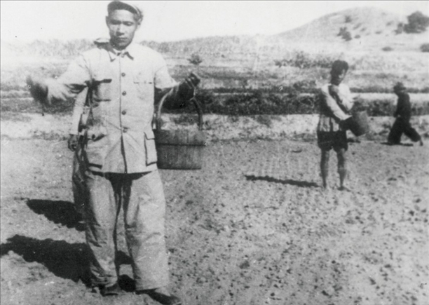 △ 谷文昌在福建省東山縣坑北村參加播種。