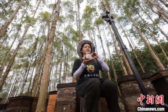 吳素英在網絡平臺直播介紹蜜蜂和養(yǎng)蜂情況。湯曉逵 攝