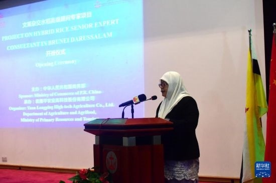 10月26日，文萊初級資源與旅游部常任秘書圖蒂亞蒂在斯里巴加灣市出席中國與文萊雜交水稻高級專家顧問項目啟動儀式。新華社記者 李萌 攝