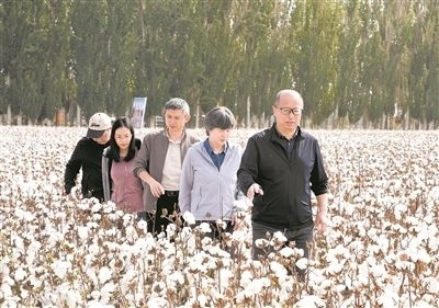李召虎團隊成員在棉田了解試驗情況。 受訪單位供圖