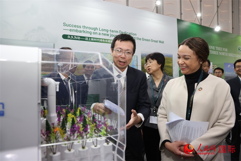 嘉賓參觀中國館。人民網(wǎng)記者任皓宇攝