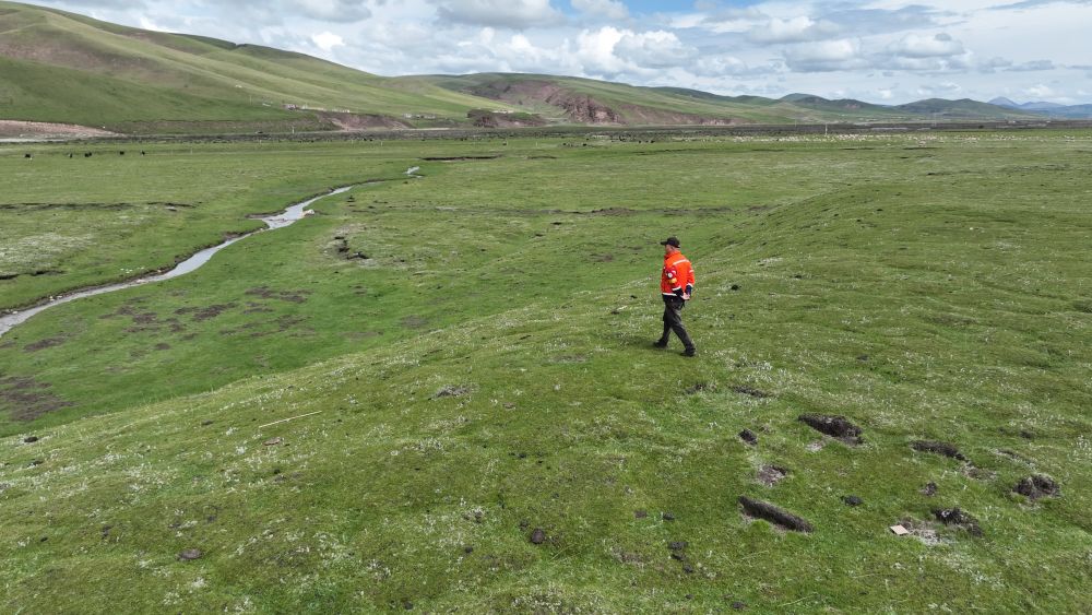 9月24日，生態(tài)管護(hù)員那瓦才郎在草場(chǎng)上巡護(hù)。（受訪者供圖）