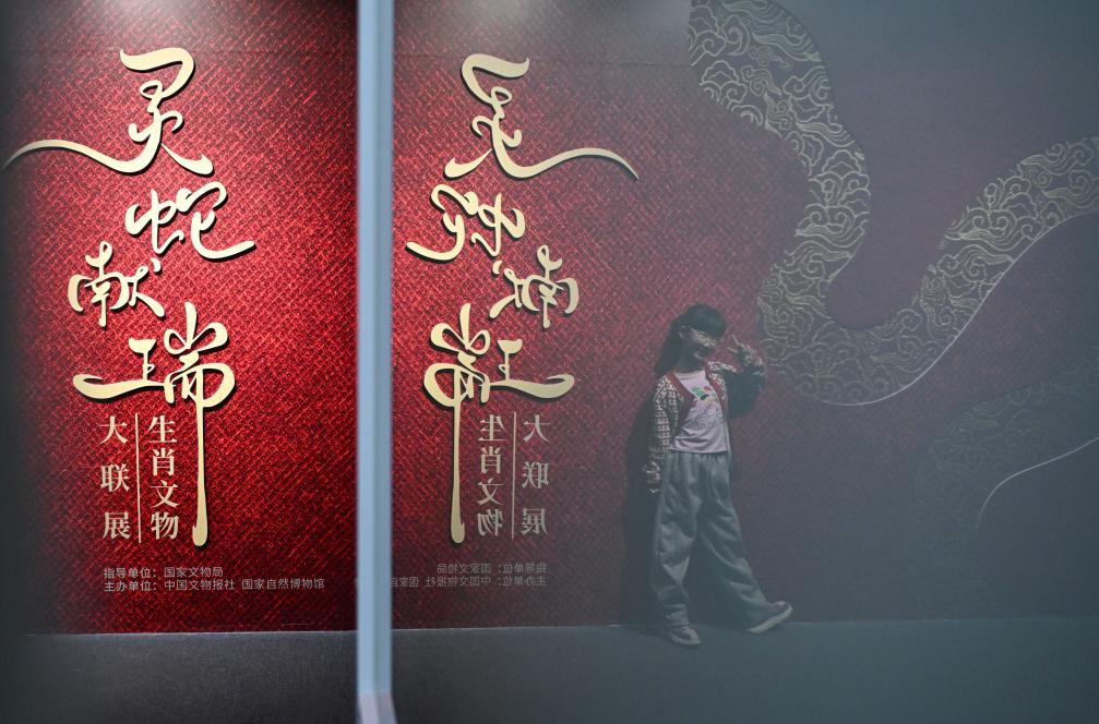 1月18日，一名小朋友在國(guó)家自然博物館舉辦的“靈蛇獻(xiàn)瑞——2025乙巳蛇年生肖文物大聯(lián)展”展覽中拍照留念。（新華社記者 陳鐘昊 攝）