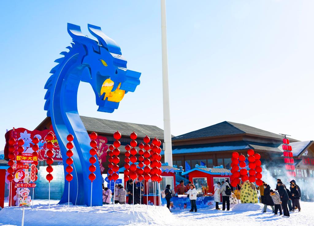 2025年1月，游客在遼寧錦州東方華地城海洋冰雪王國內(nèi)游覽。新華社發(fā)