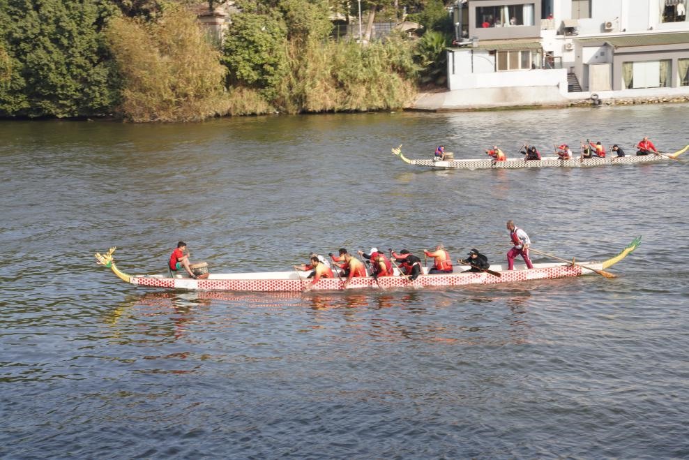 活動現(xiàn)場龍舟競技，共慶春節(jié)。開羅中國文化中心供圖